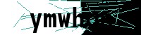 Security verification captcha