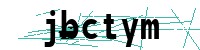 Security verification captcha