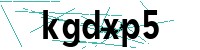 Security verification captcha