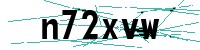 Security verification captcha
