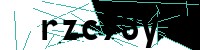 Security verification captcha
