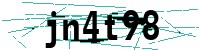 Security verification captcha