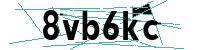 Security verification captcha
