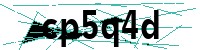 Security verification captcha