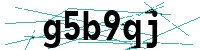 Security verification captcha