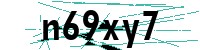 Security verification captcha
