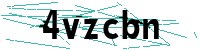 Security verification captcha