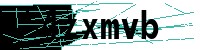Security verification captcha