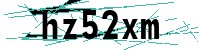 Security verification captcha
