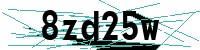Security verification captcha
