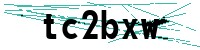 Security verification captcha
