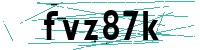 Security verification captcha