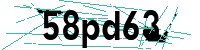 Security verification captcha