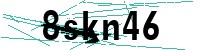 Security verification captcha