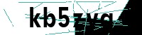 Security verification captcha