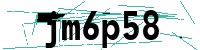 Security verification captcha