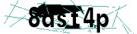 Security verification captcha