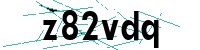 Security verification captcha