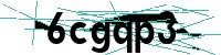 Security verification captcha