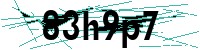 Security verification captcha