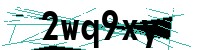 Security verification captcha