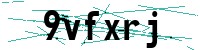 Security verification captcha