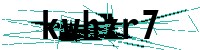 Security verification captcha
