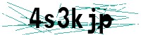 Security verification captcha