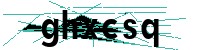 Security verification captcha