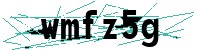 Security verification captcha