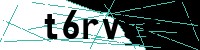 Security verification captcha