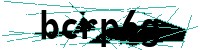 Security verification captcha
