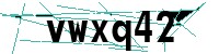 Security verification captcha
