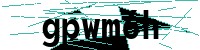 Security verification captcha