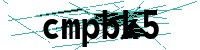 Security verification captcha