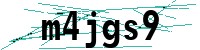 Security verification captcha
