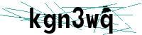 Security verification captcha