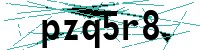 Security verification captcha