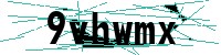 Security verification captcha