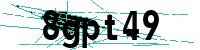 Security verification captcha