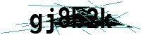 Security verification captcha