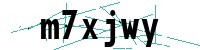 Security verification captcha