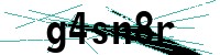 Security verification captcha