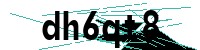 Security verification captcha