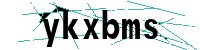 Security verification captcha