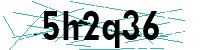 Security verification captcha