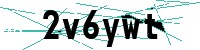 Security verification captcha