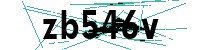 Security verification captcha