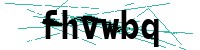 Security verification captcha