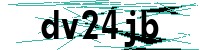Security verification captcha